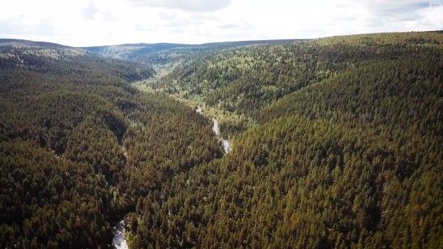 Arany Lappföldön