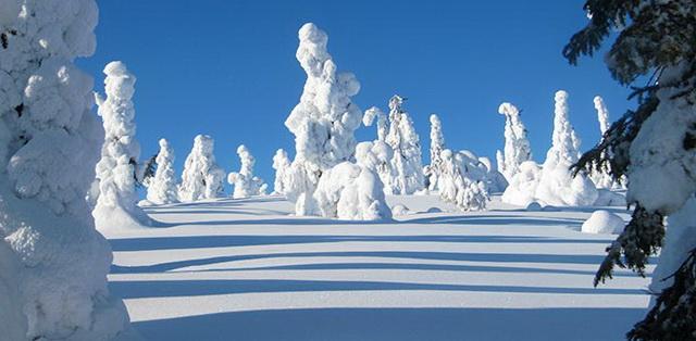 Riisitunturi (Kép: Sari Alatossava / Metsähallitus)