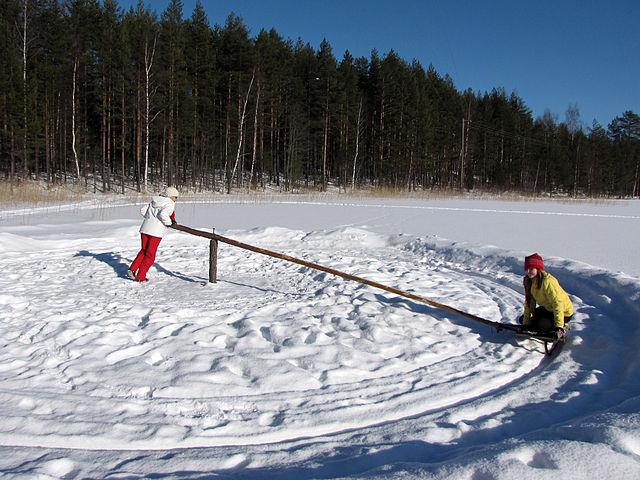 Napakelkka, szó szerint pólus szánkózás (Kép: Petritap, Wikimedia) Napakelkka, szó szerint pólus szánkózás (Kép: Petritap, Wikimedia)