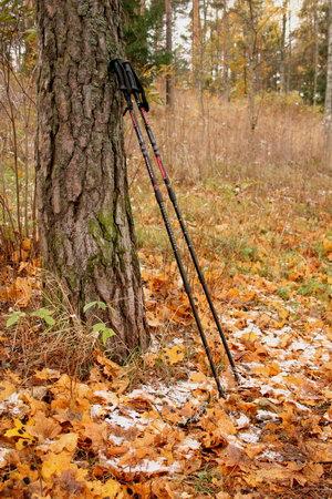 A nordic walking népszerű sport, ajánlott időseknek, fiataloknak, fogyókúrázóknak, természetkedvelőknek