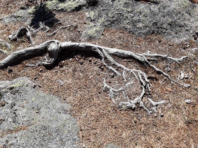 Hiidenvuori, Iitti kistérség, Kymenlaakso régió, Finnország