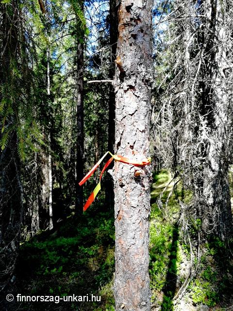 Furcsa kő, Kummakivi