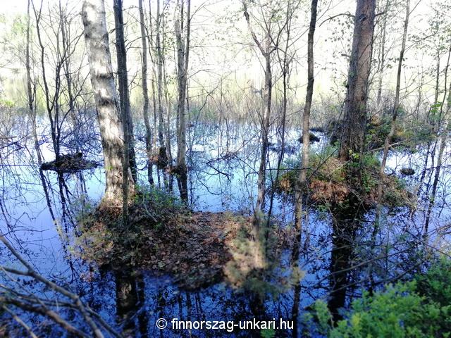 Furcsa kő, Kummakivi