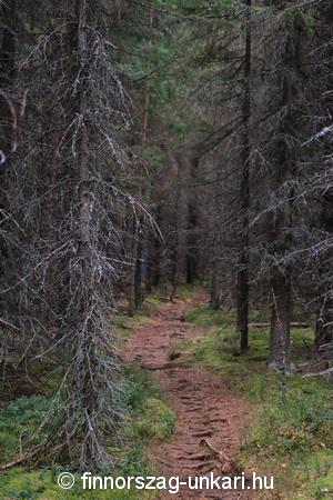 Látnivaló Finnországban: Kummakivi, furcsa kő