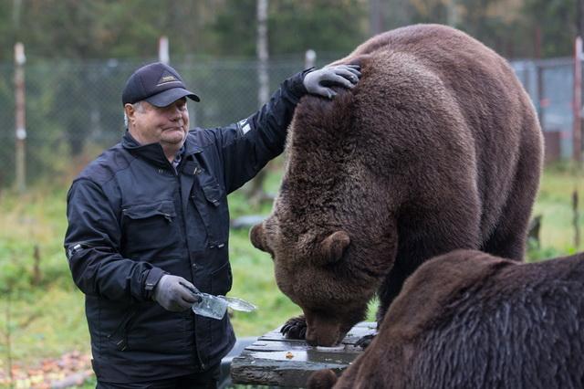 Medveember, Karhumies, Fotó: Hannu Huttu/Iltalehti