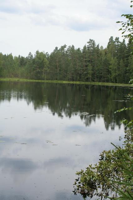Finn férj, magyar feleség. Mohaszőnyeg.